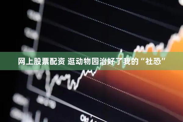 网上股票配资 逛动物园治好了我的“社恐”