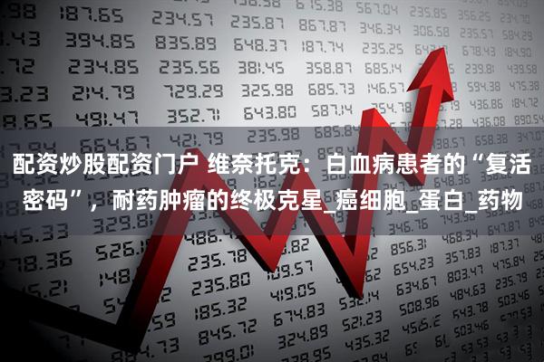 配资炒股配资门户 维奈托克：白血病患者的“复活密码”，耐药肿瘤的终极克星_癌细胞_蛋白_药物