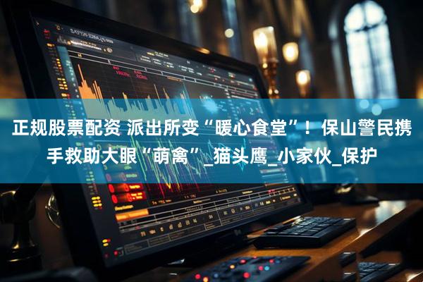 正规股票配资 派出所变“暖心食堂”！保山警民携手救助大眼“萌禽”_猫头鹰_小家伙_保护